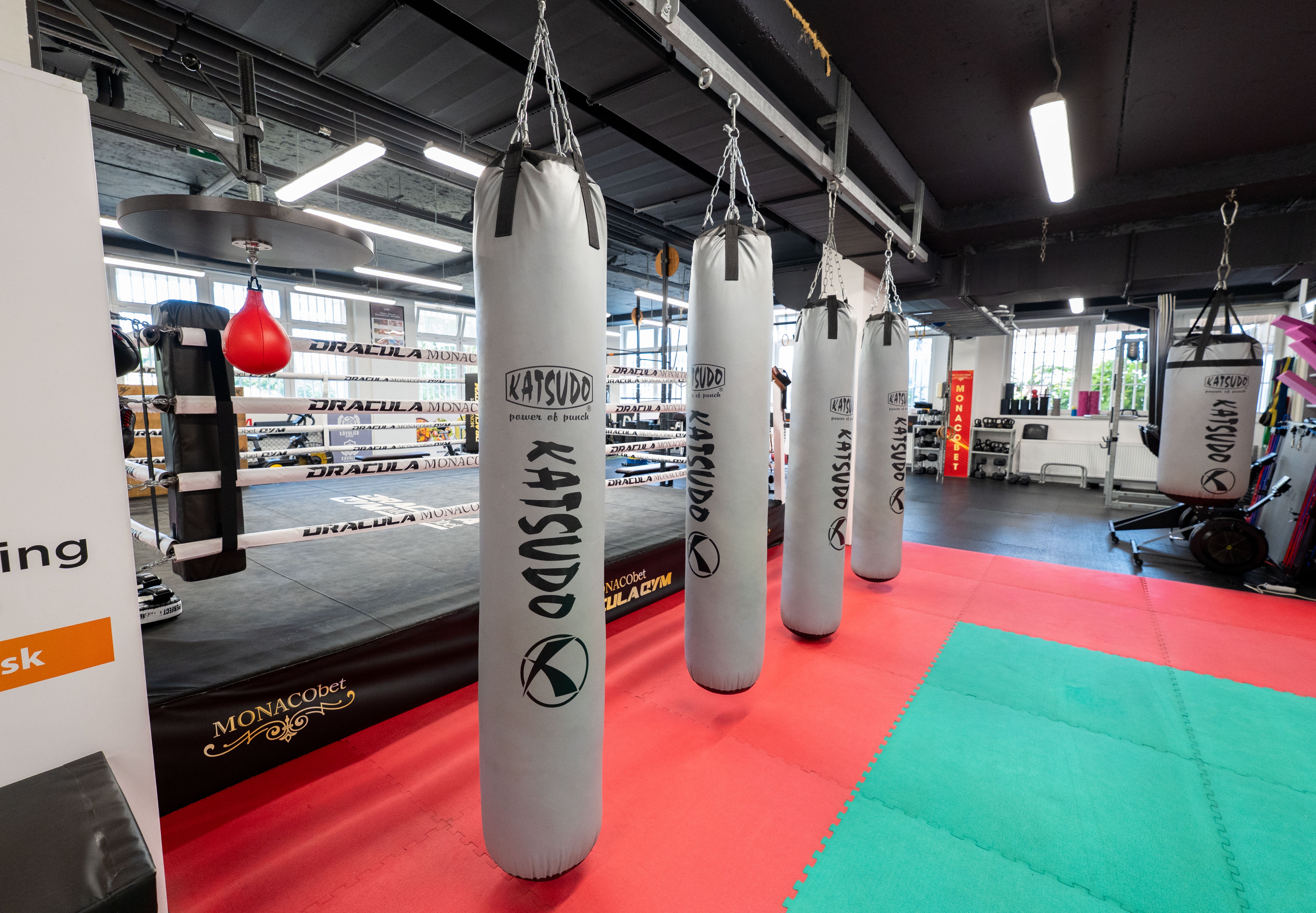 Katsudo sacco da boxe in plastica Texa, grigio