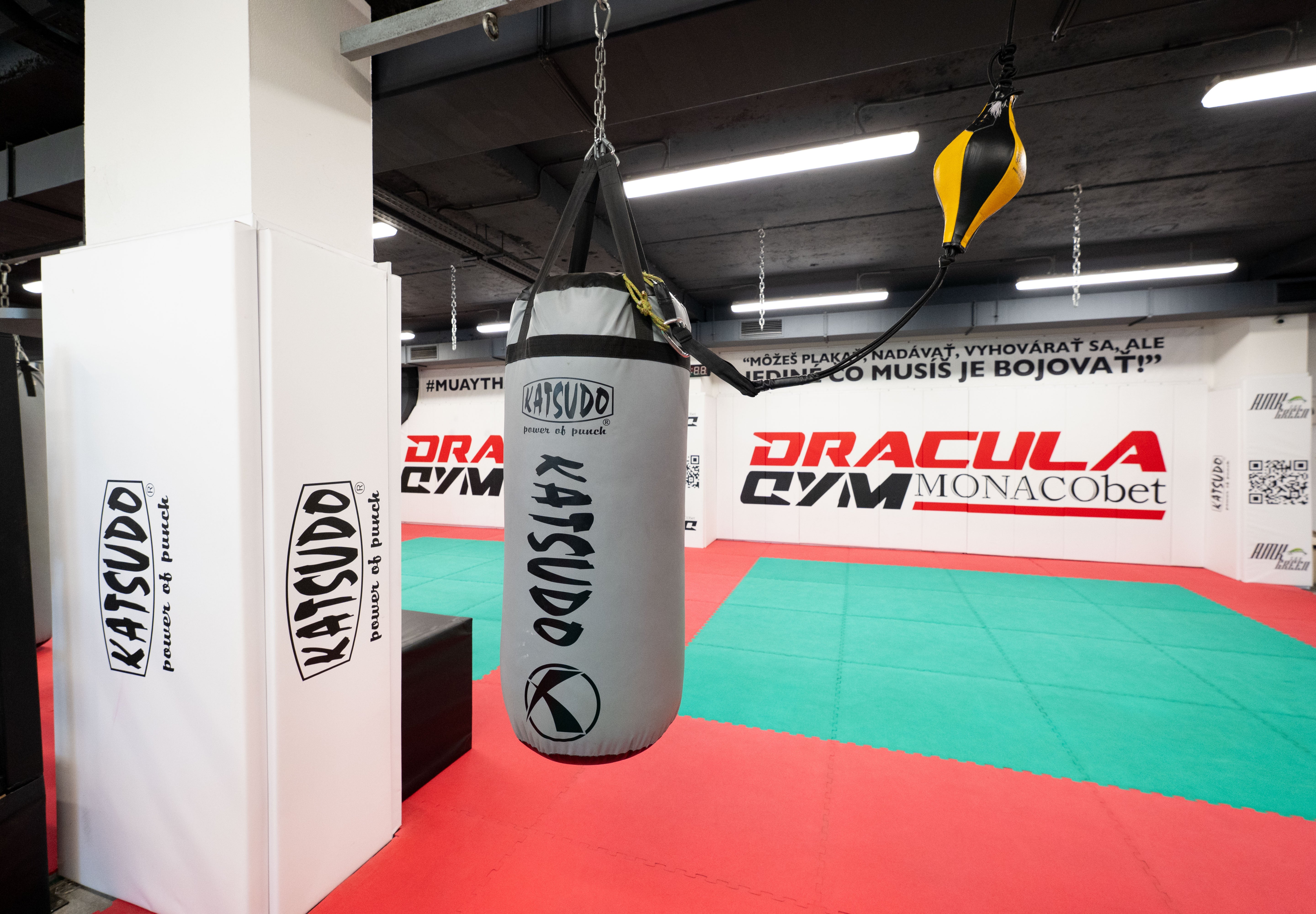 Sacco Katsudo Big Boy Pro Boxing, grigio