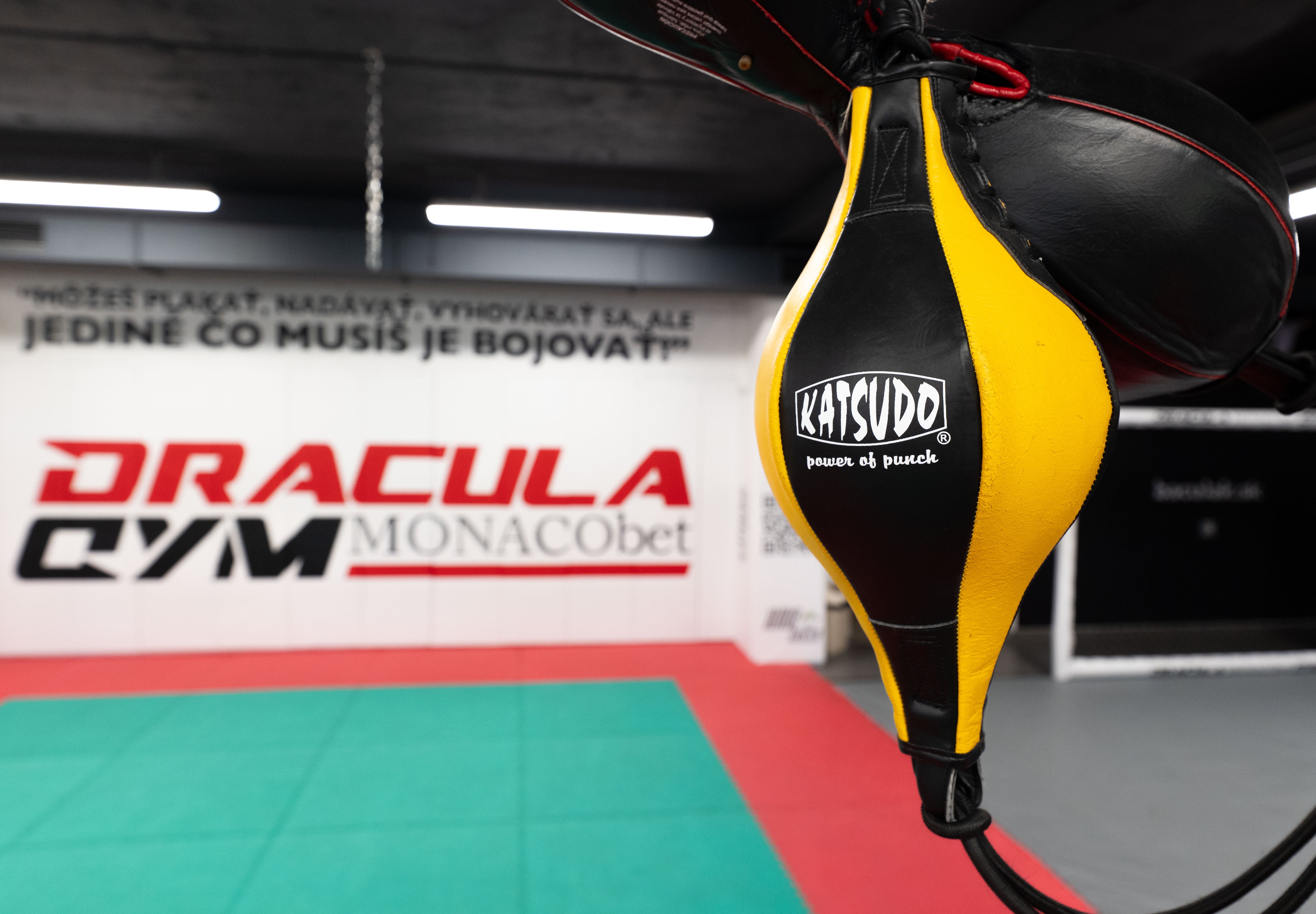 Palla da colpire Thai Katsudo