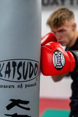 Guantoni da boxe Katsudo Professional, rossi