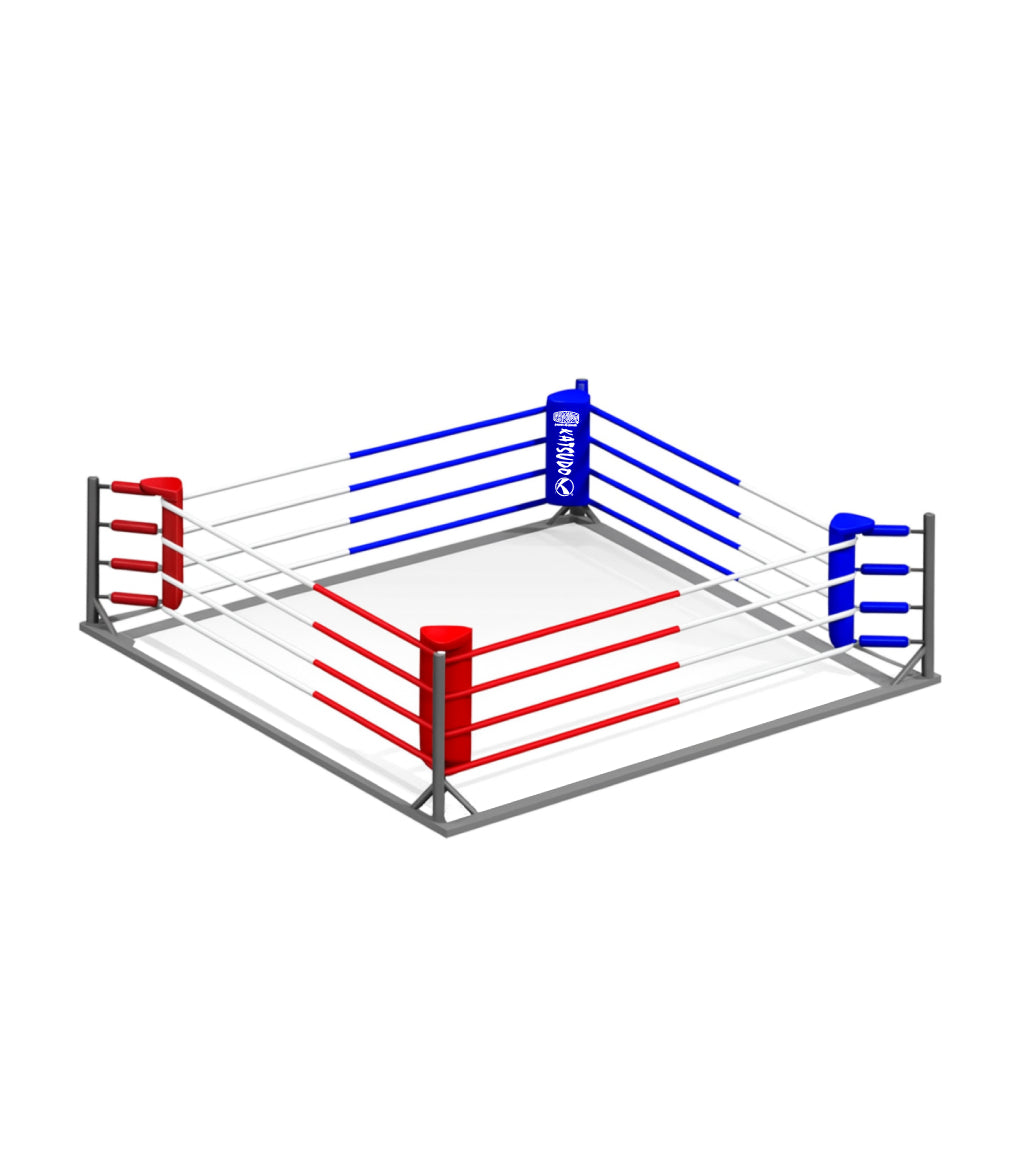 Katsudo ring da allenamento portatile Strikeborn
